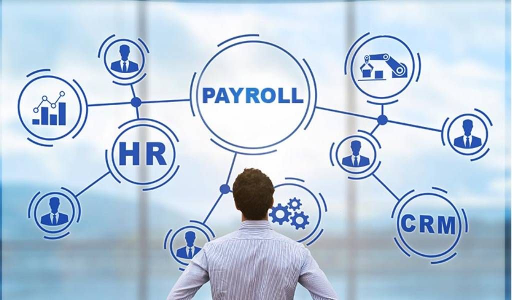 Learn How HR Payroll Management System Improves Accuracy and Employee Management